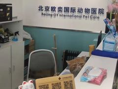 -欧奕国际动物医院