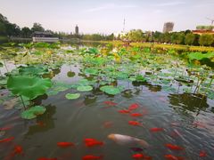 -西海子公园