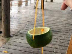 -前小桔亲子创意农场·草莓采摘·露营烧烤