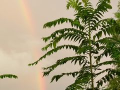 -中关村生命科学园