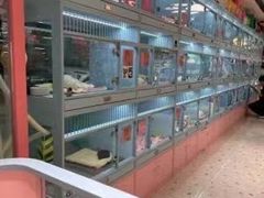 -FAELING PETS美天灵宠物(合生汇店)