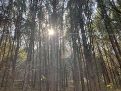 -龙洞风景区-藏龙涧
