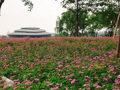 -杭州城北体育公园