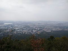 -紫金山索道-售票处