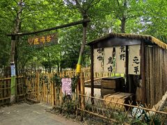 -合肥野生动物园