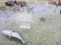 -鸿通城购物中心