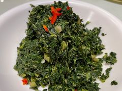 凉拌苦菜-凯鸽酒楼(操场城店)