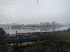 -李子坝梁山鸡(李子坝大鸡哥店)