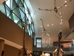 -1868 Café(上海自然博物馆店)
