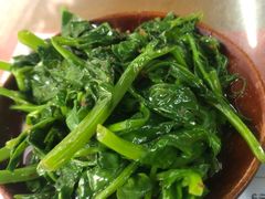 -周肥肠(江油总店)