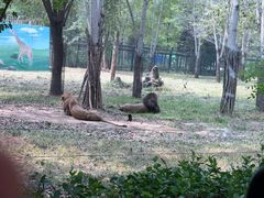 -秦皇岛野生动物园