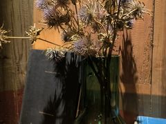 -陶享时光西餐·下午茶·竹林花园(新城店)