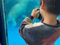 -海合安成都极地海洋公园