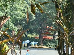 -深圳国际园林花卉博览园