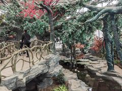 -鄂尔多斯野生动物园