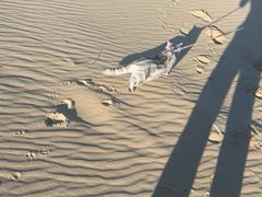 -库伦旗银沙湾旅游景区