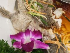 -西江河鲜·趣苑酒楼(鼎湖店)