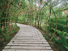 -西青郊野公园