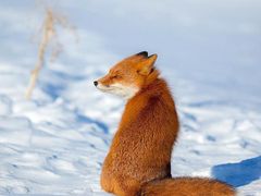 -星巴克(北京广渠门名敦道店)