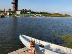 -春花秋色城市公园