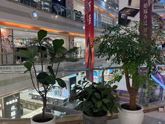 -巴黎春天(浦建店)