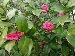 -艾溪湖湿地公园