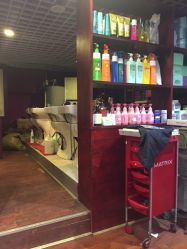 -红人馆造型十添