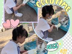 -前小桔亲子创意农场·草莓采摘·露营烧烤