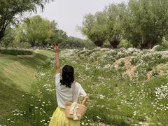 -汉长安城未央宫国家考古遗址公园