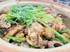 招牌土鸡煲-华仔土鸡店(南洲分店)