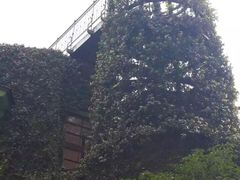 -三鹰之森吉卜力美术馆