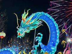 -淄博花灯齐彩城