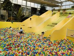 -南宫五洲植物乐园