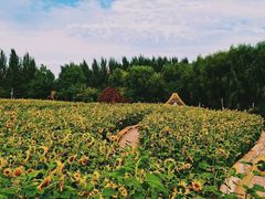 -长春公园(普阳街道)