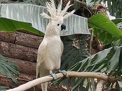 -北京植物园-展览温室