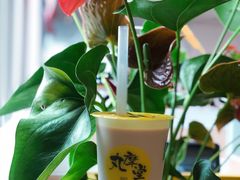 -丸摩堂鲜果茶(九方店)