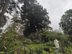 -墨尔本皇家植物园