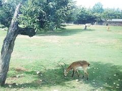 -西安秦岭野生动物园