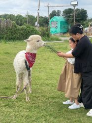 -大树儿童摄影