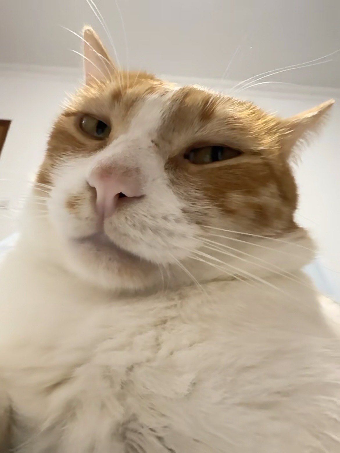 早!在干嘛呢,发个自拍