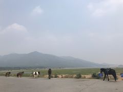 -十三陵水库