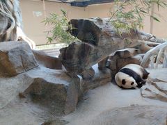 -宁波野生动物园