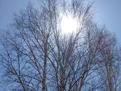 -御道口草原森林风景区-游客咨询处