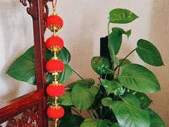 -九龙大酒店·金牌楚菜(武泰闸店)