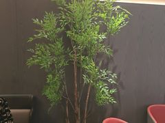 -苏淮景·苏闽融创菜·海鲜(原空港井河轩店)