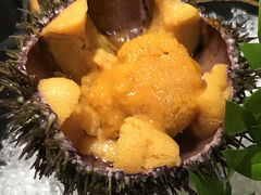 马粪海胆刺身-KITON喜豚(清晖园店)