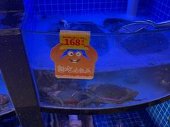 -七欣天香辣蟹火锅(闵行浦江欢乐颂店)