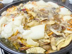 -江川野生菌火锅铜锅鱼(贵清火锅店)
