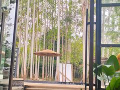 -桉树林A coffee 森林餐厅(三圣乡店)