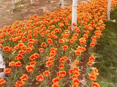 -长春公园(普阳街道)